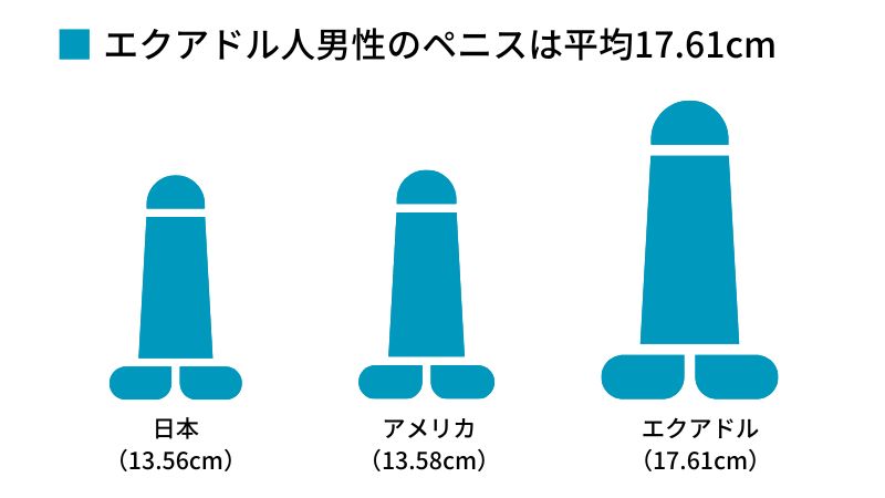 男性のペニスの平均サイズは何センチ？小さいデメリットや改善方法を解説 | ザヘルプM