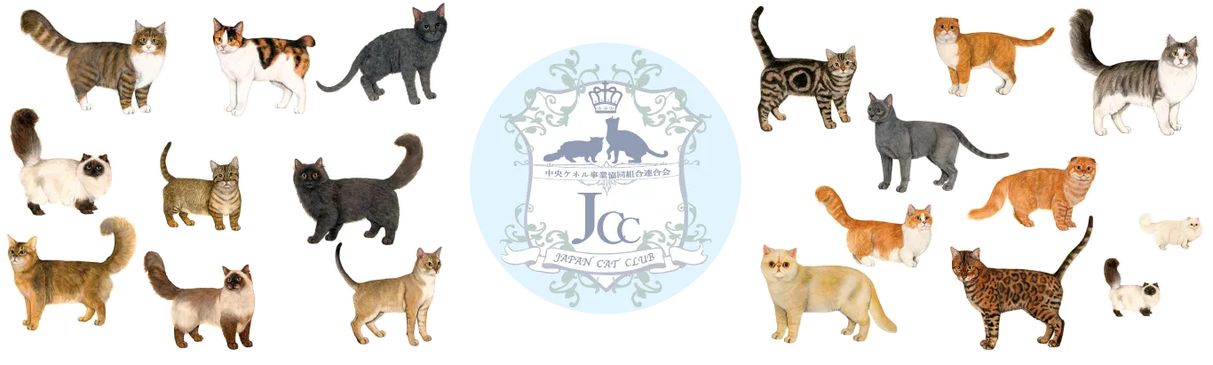 ジャパンカラテキッズクラブ公式ホームページ