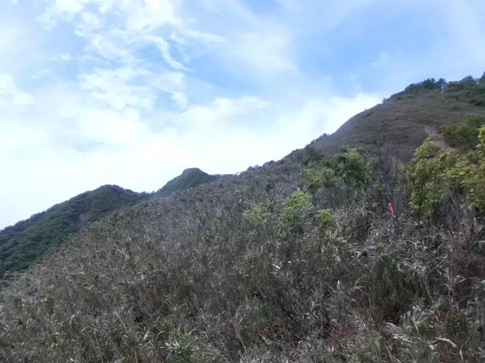 湖東三山西明寺の公式ホームページ | 湖東三山のひとつ西明寺は、国宝の本堂や三重塔の建造物をはじめ、迫力の二大天王や十二神将といった重要文化財の数々があります。また紅葉と苔が美しい庭園が名所の西明寺は、西国薬師四十九霊場の第三十二番札所でもある。  |