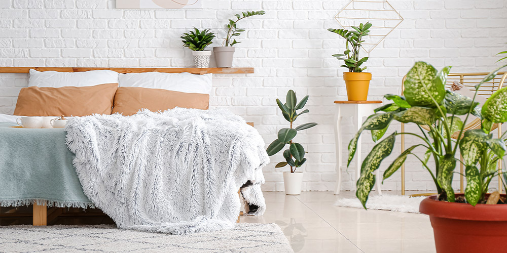 寝室に置くと逆効果？風水的にNGな観葉植物とその理由