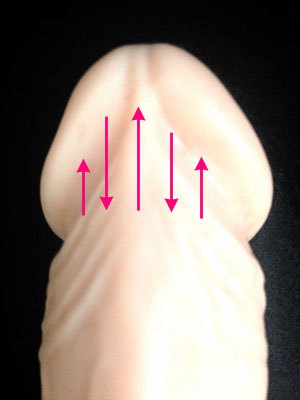 フェラチオの上手なやり方を徹底解説！気持ちいいテクニックとコツでイカせよう！ | はじ風ブログ