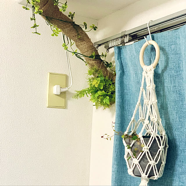 タカショー トレリス フェンス バラ クレマチス 誘引 つる性 目隠し 目かくし おしゃれ 福袋ラウンドトレリススリムセットＮ中型 :青山ガーデン ヤフー店 - 通販 - Yahoo!ショッピング