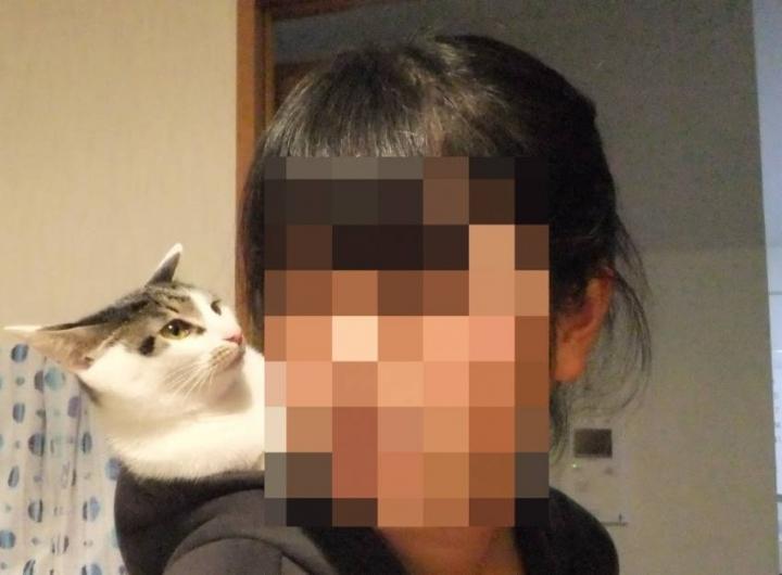 猫が甘噛みする理由とは？甘噛みしたときの対応についても解説 - ペット用品の通販サイト