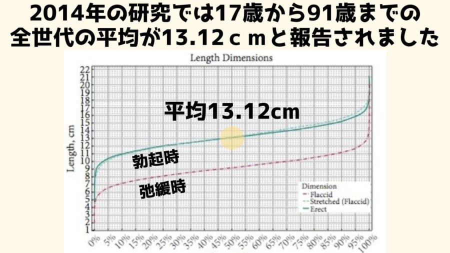 日本人のペニス、平均的サイズは13cm。女性からすると長さは関係ない｜あんしん通販コラム