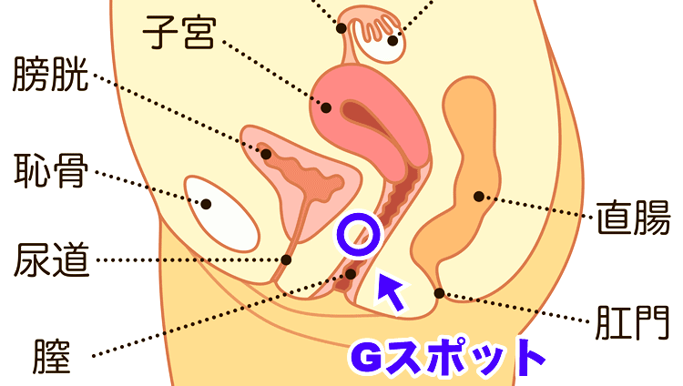 手マンで女性をエロく乱れさせる方法【本気で感じたテクだけを厳選】