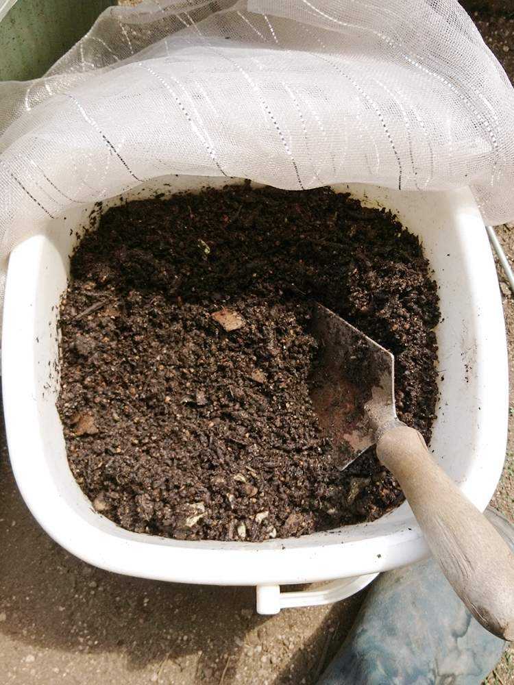 生ゴミ堆肥を作ってみる。🍀GreenSnap グリーンスナップ