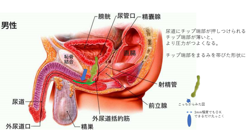 腰痛の時のマッサージのやり方を詳しく解説。無理なやり方はやらないで!｜コラム｜銀座ナチュラルタイム 銀座駅から徒歩1分の極上リンパマッサージ - 前立腺 