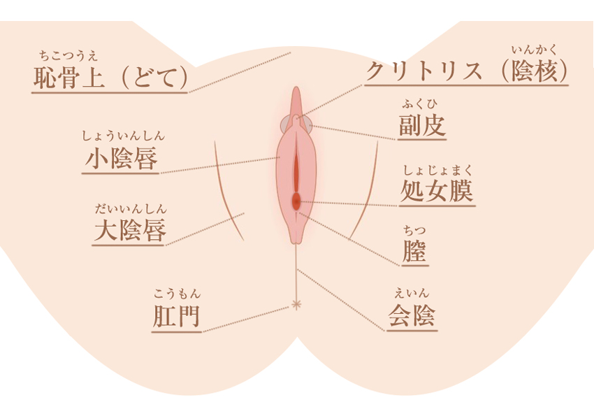 クリトリスを手マンで気持ち良くさせる方法と注意点をポイント別に解説｜Cheeek [チーク]