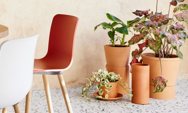 プランター アニマルテラコッタポット ネコ 3号植木鉢 プラントポット 植物用ポット ミニポット 鉢 ポット 素焼き 3号鉢 卓上 スタンド置く 植物 花 観葉植物 多肉植物 サボテン 園芸 直植え 穴あり テラコッタ インテリアの通販はau PAY マーケット - お弁当