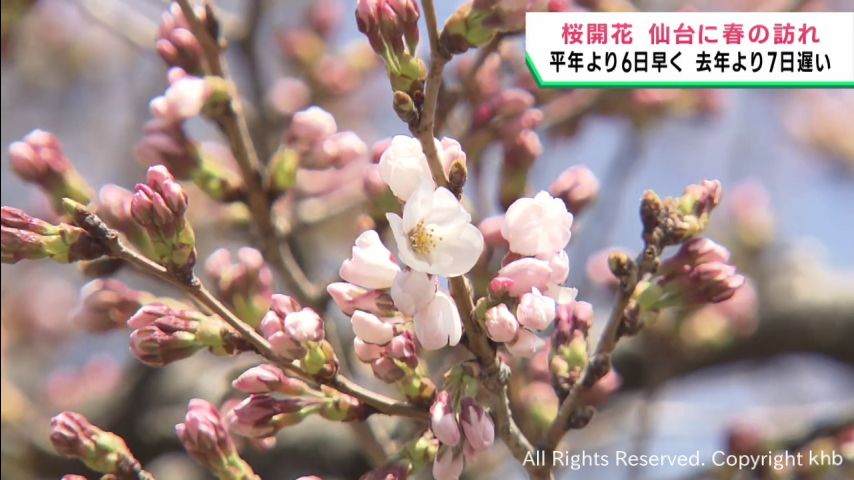 ピアノ教室kokoro（千葉県富里市）