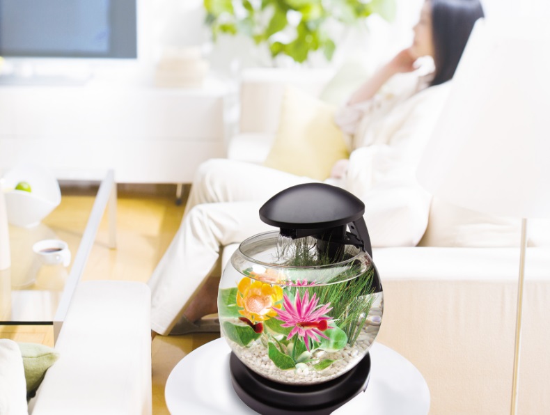 水槽と緑、古道具。まるで自然の中にいるみたいな暮らしで買って良かった3つのアイテムgoodroom journal