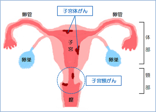 炭火串焼🟠まる | アイスクレープです‼️