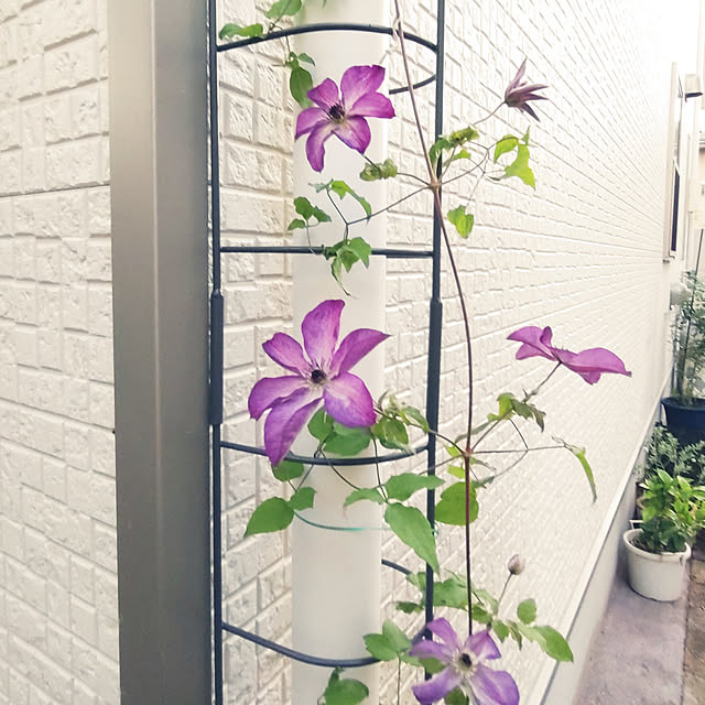 し 200x400cm、リーフフェンス,プライバシースクリーン人工トレリススクリーニング 庭の目隠しフェンス し リーフフェンス 葉 リーフフェンス」の人気商品一覧安い商品を通販サイトから探す - 価格.com