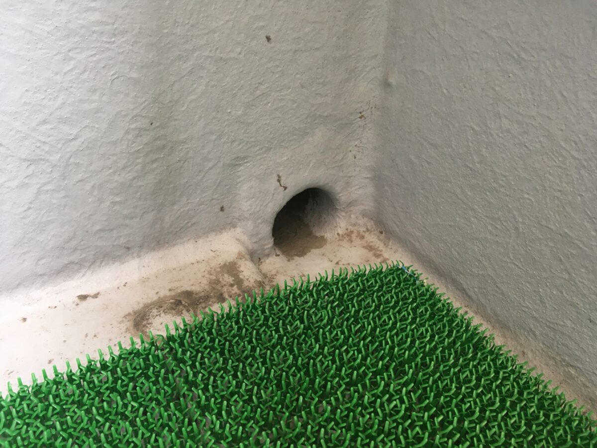 ジョイント式 人工芝 送料無料FIFA認定工場製造高級人工芝 人工芝 リアル人工芝 ジョイント20枚セット ガーデン ガーデニング ベランダ人工芝 ジョイント - メルカリ