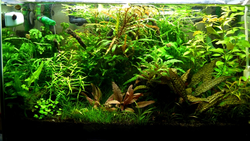 まとめ靴箱の上に設置する60cmスリム水槽台を自作Masa's DIY Record StorageContainer~将_DIY記録管理簿