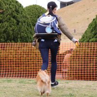 宮崎のカフェにおひとりさまサイズのかき氷 小ぶりでもインスタ映え -