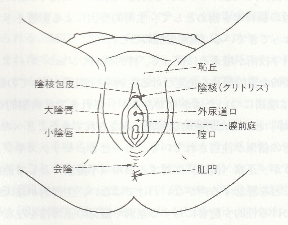 【女性器を丸裸に】オーガズムに達して潮吹きさせる方法を女医が解説