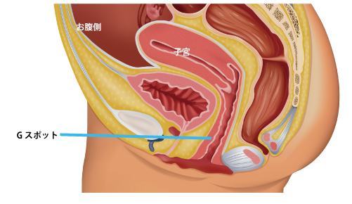 2024年最新】膣トレーニングのやり方＆おすすめグッズ8選。ダイエットにも効果的！