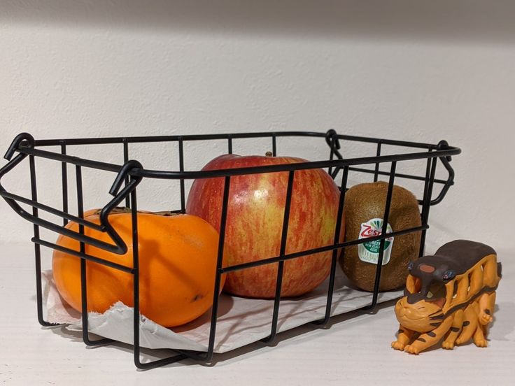 育て始めたハーブとスタイリッシュさにひと目惚れしたセリアのワイヤーバスケット : LOVEHOME 収納&インテリア Powered byライブドアブログ