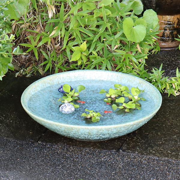 信楽焼 睡蓮鉢 メダカ鉢 おしゃれ めだか鉢 陶器 水鉢 ビオトープ 金魚鉢 信楽焼き スイレン鉢