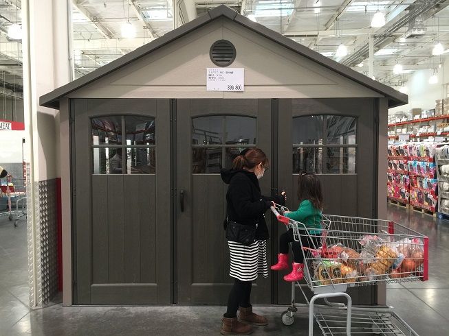 コストコの物置と台風』 -今日の話題- - AmpiTa課題解決アンピタ