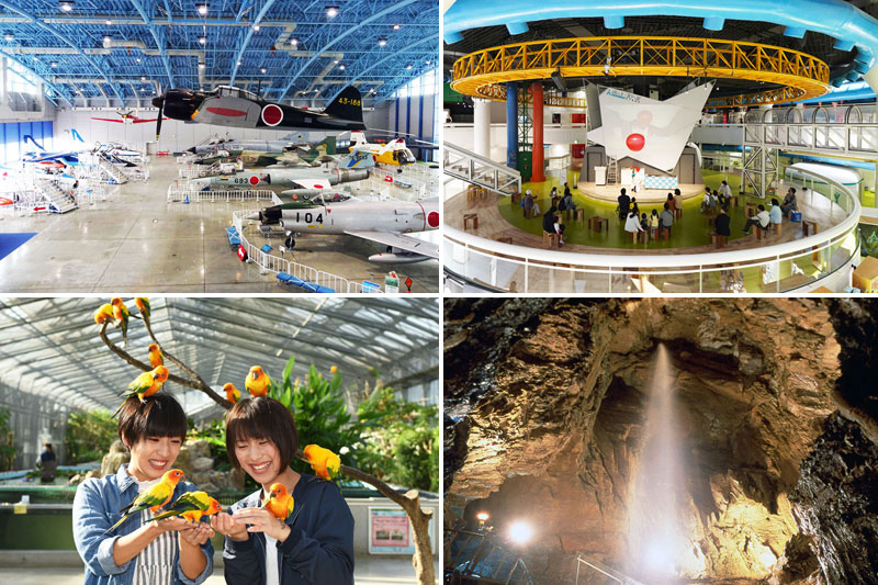 【都内大学生の休日の過ごし方〜池袋編〜】 池袋サンシャインシティの水族館・展望台に行ってきたよ〜🐬🔭空飛ぶアシカとペンギンと可愛すぎた😩️ 