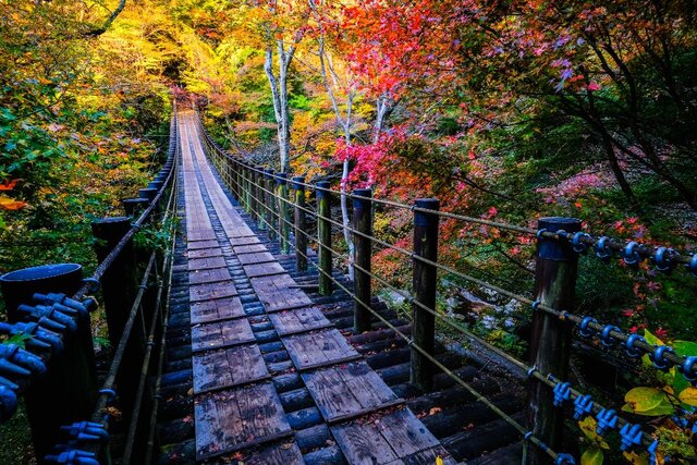 インスタ映えする岡山のおすすめ紅葉スポット5選！穴場もご紹介！｜おか旅 | 岡山観光WEB【公式】- 岡山県の観光・旅行情報ならココ！