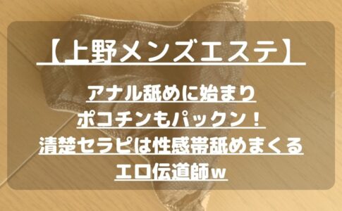 漫画で当店のコンセプトをご紹介｜アナル舐めやもうちょっとを叶える大阪・茨木のAV妄想デリヘル -アニリングス大阪店-