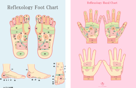 足ツボリフレクソロジー（フットマッサージ）｜オストラク