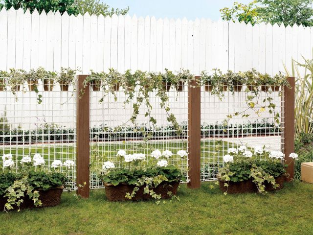 16 件の「外構 鉢植え」のアイデアを今すぐ保存鉢植え、ガーデン デザイン、ガーデンプラン など