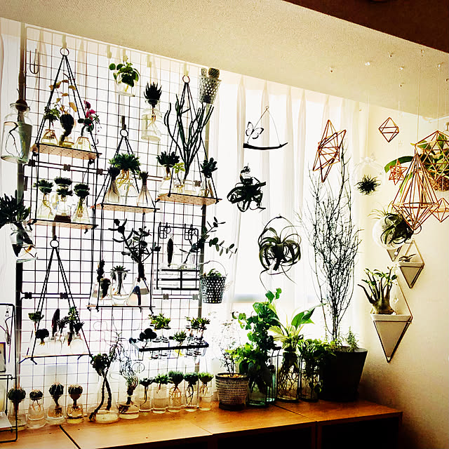 インテリアとしても楽しめるよ♪ワイヤーアート にチャレンジしてみない？ 2ページ目キナリノ