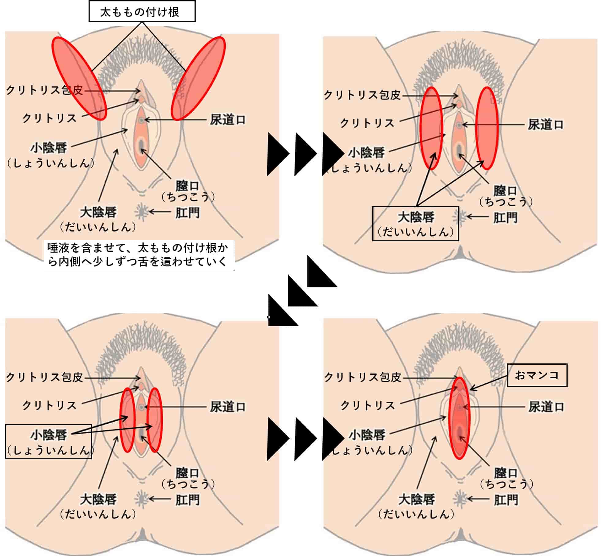 9割の男子が知らないクンニのやり方・コツ！圧倒的に気持ちいいテクを紹介｜駅ちか！風俗雑記帳