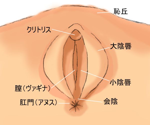 指入れは何本まで？痛くない？気持ちいいやり方のコツまで｜風じゃマガジン