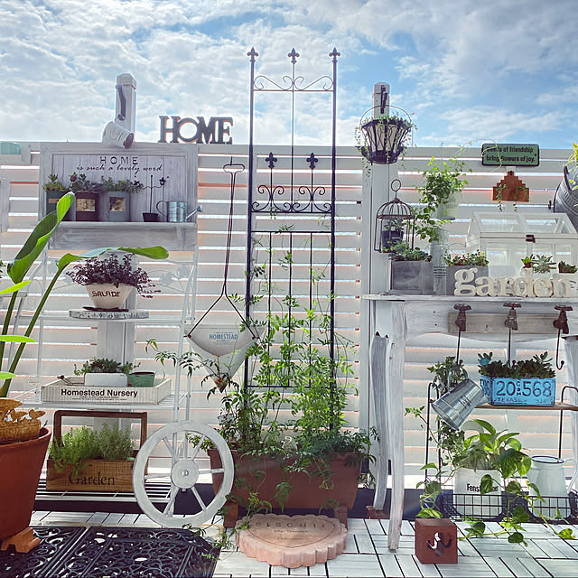 ハゴロモジャスミン 春のベランダ つる植物 植物のある暮らし マンション暮らし などのインテリア実例 - 2021-04-11 18:00:23RoomClip ルームクリップ