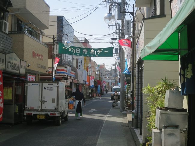 低農薬・有機栽培の新鮮野菜生産出荷農家の袖ケ浦市大曽根（おぞね）のシンタロー農場の生産・出荷・販売野菜です。