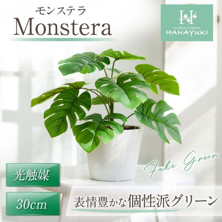 楽天市場 フェイクグリーン モンステラ エクリア ハンギング人工観葉植物 インテリアグリーン 観葉植物 おしゃれ 造花 リアル 室内 消臭 抗菌防汚 吊り下げ インテリア グリーン CT触媒 人工 植物 水やり不要: リビングート 楽天市場店