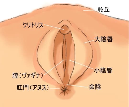 男の射精の感覚はクリイキと同じ？オーガズムの度合いはどう違う？ | 【きもイク】気持ちよくイクカラダ