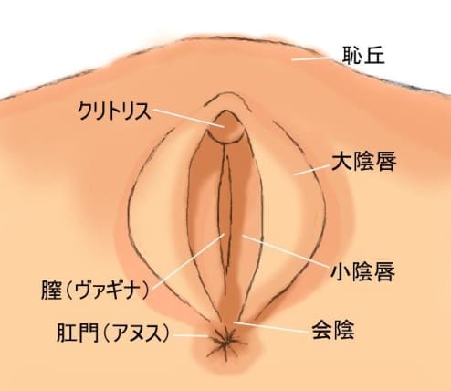 知ってるようで知らない、正しい『アナルセックス』ガイド