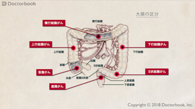 僕のヒーローアカデミア】S字結腸に射精されるまでイキっぱなしな個性事故 - 同人誌 - エロ漫画