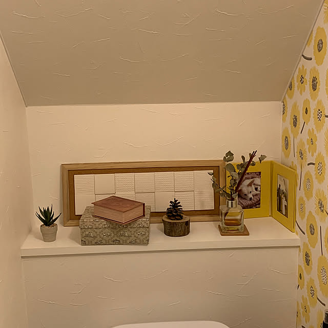 フレッシュに華やかさを演出♪トイレでの観葉植物の飾り方RoomClip mag暮らしとインテリアのwebマガジン