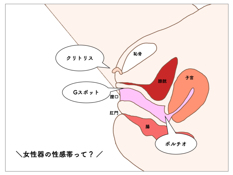 処女膜とは。初体験の痛みを和らげる5つの方法｜「マイナビウーマン」