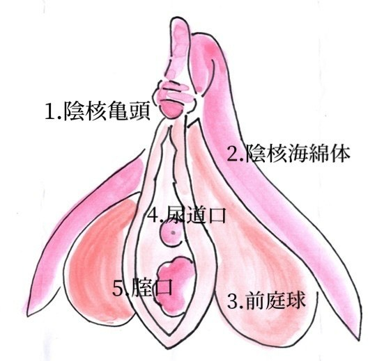 クリトリスでいく感覚はどんな感じ？クリイキの方法まで解説｜Cheeek [チーク]