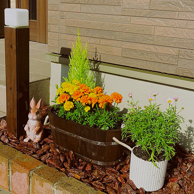 花壇 玄関横のおしゃれなインテリアコーディネート・レイアウトの実例RoomClip ルームクリップ