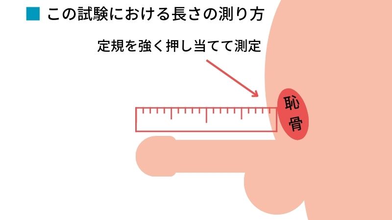 泌尿器科の専門医が解説】ペニス増大手術に関して知っておきたい８つの知識