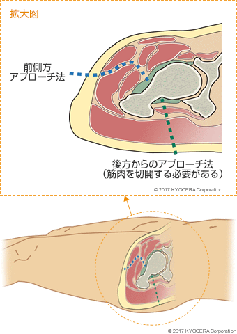 整太先生/解剖生理専門家/柔整・鍼灸学生の国試対策 | 今日は「男女の骨盤の違い」について！ どうも！