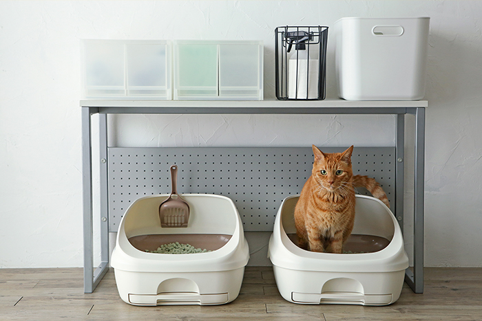 カラーボックスに猫トイレ!? 猫砂やおもちゃを収納できるシステム収納として大胆アレンジHOUSTO おウチの収納.com