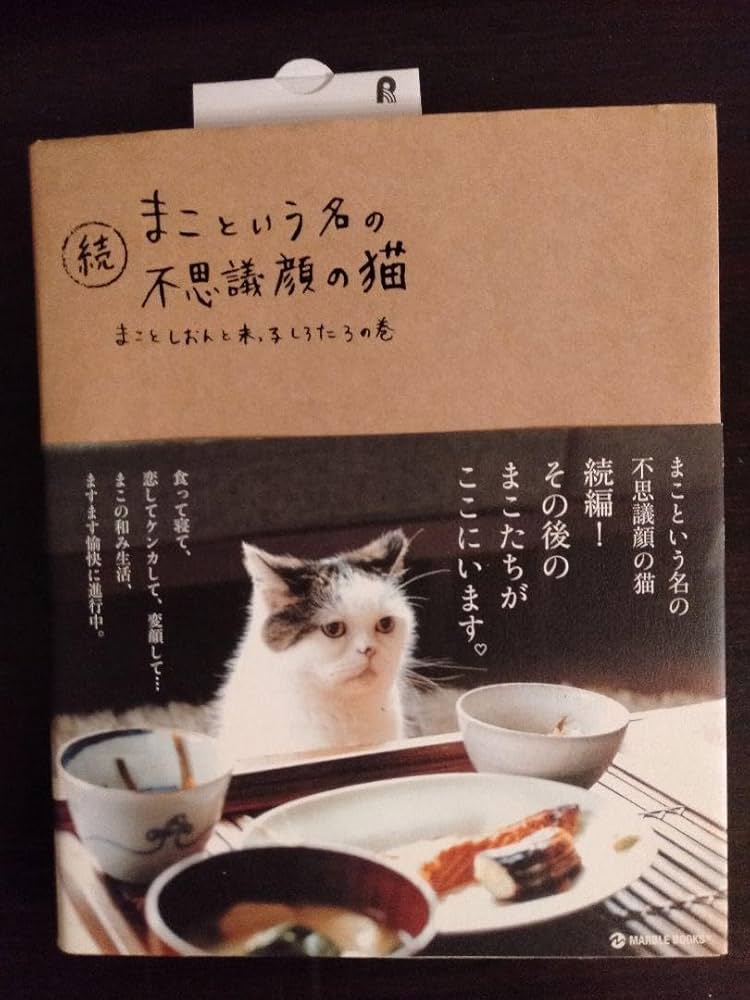 卒業「誠お兄さん」おかあさんといっしょのお兄さん・お姉さんからのメッセージ - WEB