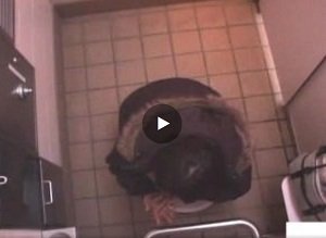 盗撮！トイレに隠れてオナニーする巨乳新人ＯＬさん！ - XVIDEOS.COM