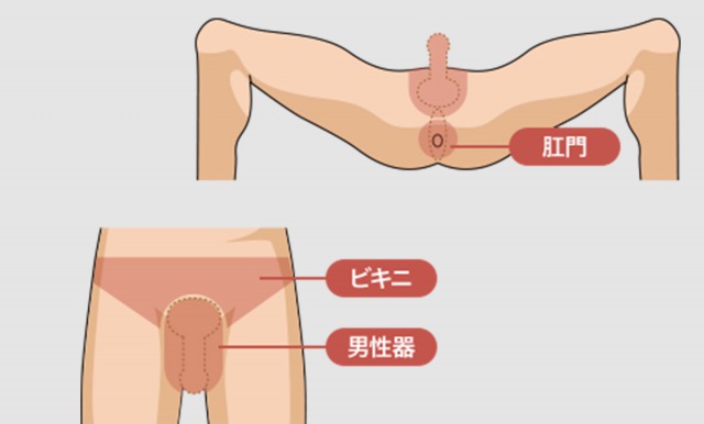 パイパンは麻雀用語です／パイパンとは思春期以降の女性に陰毛が無い状態を指す言葉。‐ピクシブ百科事典‐ - ペン吉が話す