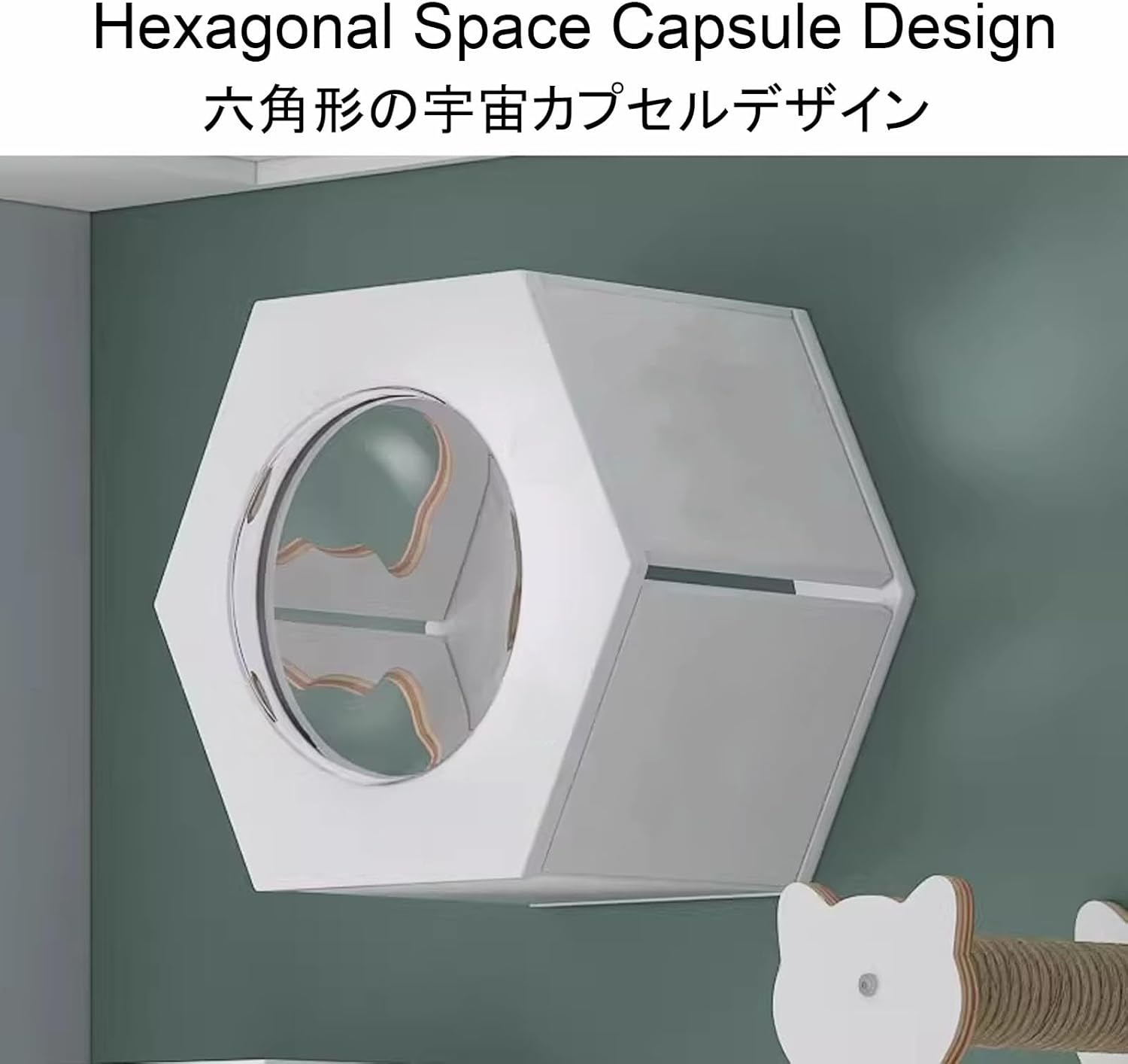 DIY 賃貸でもOK！ 2×4アジャスターで作るおしゃれキャットウォークとなりのカインズさん